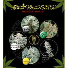 nasiona marihuany Mix - Indica G