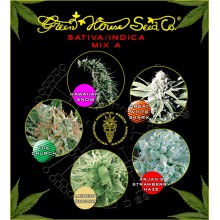 nasiona marihuany Mix - Sativa/Indica A